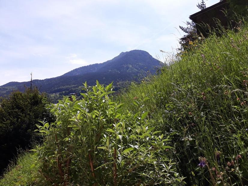 Ferienwohnung Fendt Berchtesgaden Exterior foto